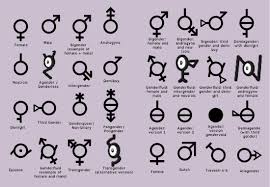 A Chart Of All The Genders Teenagers