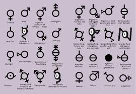 a chart of all the genders teenagers