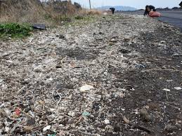Jeju Coasts Are Suffering From Marine Debris Although Jeju Province Spends Bill Marine Debris Philippines Weather Philippines Culture