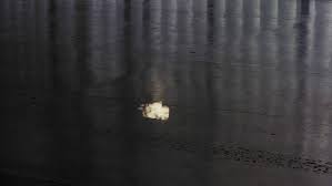 Bildergebnis für Maria Laet