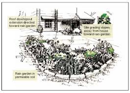 Landscape Rain Gardens A Way To Improve Water Quality Umass Center For Agriculture Food And The Environment