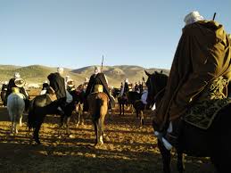 Результаты поиска по tlemcen