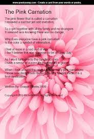 The Pink Carnation Poetry Art Flower Poetry Poetry Art Poetry