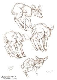 The Last Of The Polar Bears A Graphic Novel About A Mother Polar Bear And Her Cubs Animal Sketches Deer Drawing Deer Art