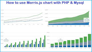 how to use morris js chart with php mysql webslesson