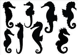 Sea Horse Silhouette Vector Pack Svg Files Png Jpg Adobe Illustrator Eps Files Silhouette Clip Art Horse Silhouette Seahorse Art