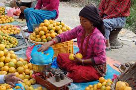 The country occupies 147,516 sq. Sindhuli Nepal Experience