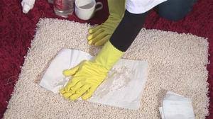 Ein großer vorteil ist die simple anwendung. Wie Man Den Uringeruch Loswird Wenn Der Teppich Riecht Wir Entfernen Den Hartnackigen Uringeruch Vom Teppich