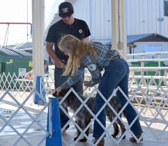 Wessin Daigle, Kate Wright take top honors at Logan County Fair Junior Dog  Show