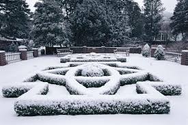 50 dry creek landscaping ideas. Winter Landscape Ideas Hgtv