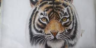 اليكس رسم نمر نرمين روبيل طفرة جوز animal tattoo animals tattoos