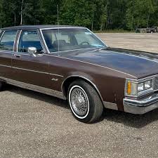 Image result for Brown 1983 Fleet