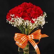 Home D Decorations Flower Shop Floreria In Brownsville Tx Carnation Bouquet Red Carnation Flower Shop