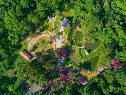 Tempat ini sangat popular di kalangan para pelancong kerana kualiti masakan yang sedap, sehinggakan terpaksa beratur panjang untuk makan tengahari di sini. Pernah Lihat Batu Kurau Ini 10 Tempat Menarik Di Batu Kurau Boleh Anda Kunjungi Ammboi