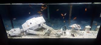 Star Wars Themed Fish Tanks Vivariums Are The Newest Trend Nerdbot Fish Tank Themes Star Wars Theme Fish Tank