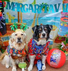 The dates for this period have varied somewhat over the centuries with the king james bible having the span as july 6th and ending september 5th. The Dog Days Of Summer Margaritaville Blog
