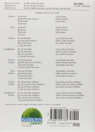 Buy 201 Dutch Verbs Fully Conjugated In All The Tenses
