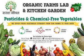 Saral Jivan Delhi Ncr Seasonal Organic Vegetables Pesticide Free For Raw Products Id 21091280073 When should fresh herbs and seasoning be added to sauteed veggies? saral jivan delhi ncr seasonal