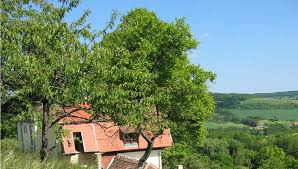 Das haus lochfeld ist ein kulturlandschaftszentrum in der gemeinde mandelbachtal im saarland zwischen ormesheimer berg im norden und heidenkopf im südwesten. Biosphare Bliesgau Krauterwanderung Rund Um Haus Lochfeld Homburg1