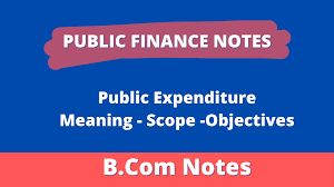 Meaning of public finance in english. Meaning Objectives And Scope Of Public Expenditure
