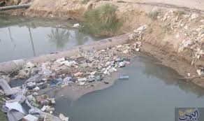 فيصل الثعلبي يؤكد أن البيئة البحرية لعدن مهددة بالفناء outdoor water river