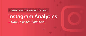 Everything You Need To Know About Instagram Analytics To Hit