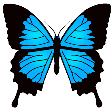 Play full screen, enjoy puzzle of the day and thousands more. Blue Butterfly Animation