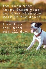 You Know That Happy Dance Your Dog Does When You Get Home I Wish I Could Feel That Way All Day Happy Dogs Online Dog Training Dogs