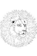 Coloriage mandala celtique avec le visage de lion. Coloriage Mandala Lion Sur Hugolescargot Com