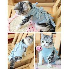 Dog Cat Recovery Suit Pet After Surgery Wear Wound Protective Soft Clothes Coat Cat Wounds Dog Clothes Diy Dog Wound