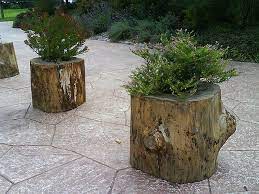 7 Tree Stump Creative Diy Ideas Tree Stump Planter Tree Planters Diy Planters Outdoor