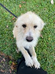 Can I help you contact a co-op member who moved to Texas?