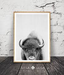 Buffalo Print Bison Wall Art Black And White Buffalo Modern Minimal Grey Decor Animal Photography Eagle Wall Art Animal Wall Art Nursery Animal Wall Art