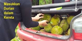 Apr 02, 2015 · penetapan lokasi pelabuhan gane dalam di desa gane dalam kecamatan gane barat kabupaten halmahera selatan provinsi maluku utara. Hilangkan Bau Durian Dalam Kereta Sangpemadan