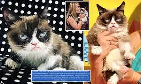 Underbite is a condition which the lower tooth grumpy cat has a brother named poky and he is also a famous cat because he also has a frowny face but. Grumpy Cat Is Dead Internet S Most Famous Feline Passes Away Aged 7 Daily Mail Online