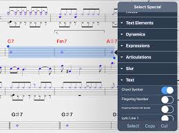 Get the igigbook pager app and use your iphone or ipod touch to turn pages hands free. Symphony Pro 6