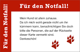 Schläft ein lied in allen dingen, die da träumen fort und fort, und die welt hebt an zu singen, triffst du nur das zauberwort. Notfall Karte Hund Allein Zuhause Vorderseite Kommst Du Hierher