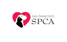 We have a large selection of cats and dogs at both locations. San Francisco Society For The Prevention Of Cruelty To Animals Salesforce Org