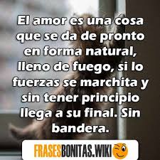 ¿qué sentiste cuando viste a tu bebé por primera vez? Frases De Canciones Cortas Y Bonitas De Amor Y Para Fotos De Perfil