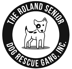 Photos from safe adoption center's post. Adoption And Foster