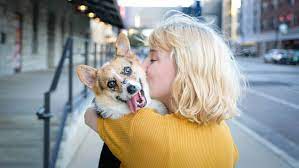 Search our extensive list of dogs, cats and other pets available for adoption and rescue near you. Home Underdog Rescue
