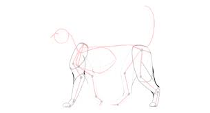 Dog and cat isolated on white background. Sketchbook Original How To Draw Cats Monika Zagrobelna