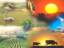 Desarrollo rural