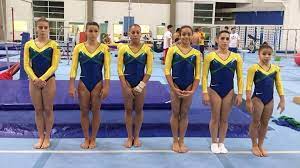 She represented brazil at the 2014 summer youth olympics in nanjing, china and at the 2016 summer olympics in rio.she was part of the teams that won gold at the 2018 south american games and bronze at the 2015 and 2019 pan american games.individually she is the 2014 summer youth olympic floor exercise champion and. Atletas Da Ginastica Artistica Disputam Mundial Pre Olimpico Meta E Rio 2016 Torcedores Noticias Sobre Futebol Games E Outros Esportes