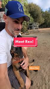 D Rex Dog