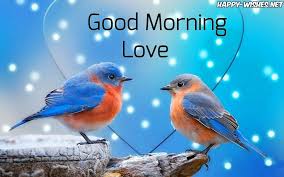 Good Morning Wishes With Love Birds Images Good Morning Images Good Morning Wishes Word Of God