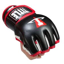 Title Conflict Mma Pro Fight Gloves