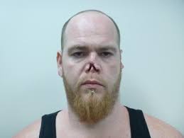 Almost 50 Dogs Seized From New York Shelter