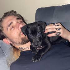 Looking for teammates for online gaming?