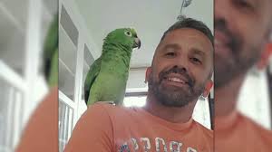 Лоро (2018) loro 1 биографический, драма режиссер: Amazing Italian Parrot Gracioso Loro Italiano Youtube